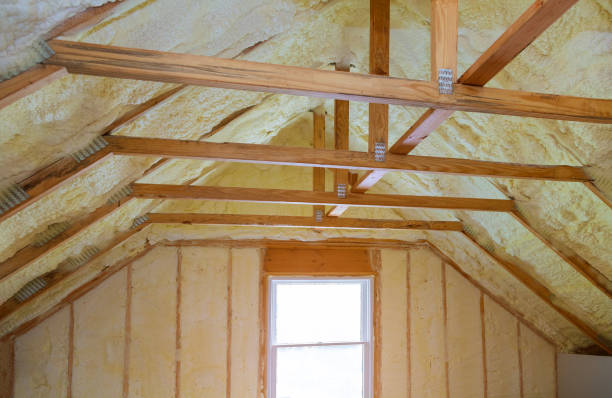Best Local Insulation Services  in Chittenango, NY