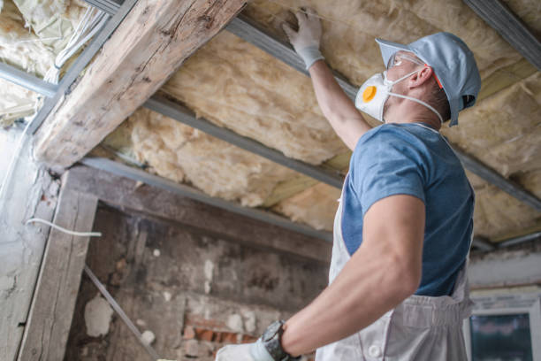 Best Residential Insulation Services  in Chittenango, NY