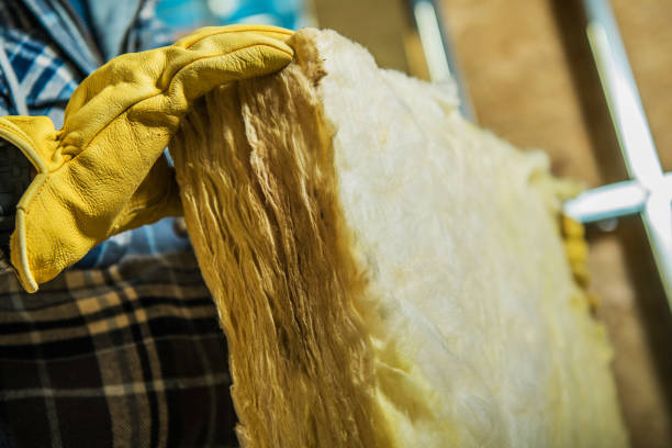 Best Insulation Removal  in Chittenango, NY