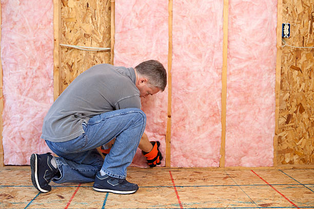 Best Professional Insulation Contractor  in Chittenango, NY