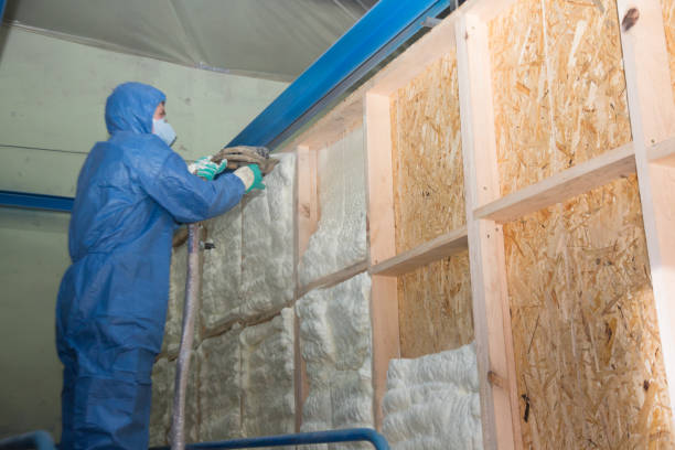 Best Fiberglass Insulation  in Chittenango, NY