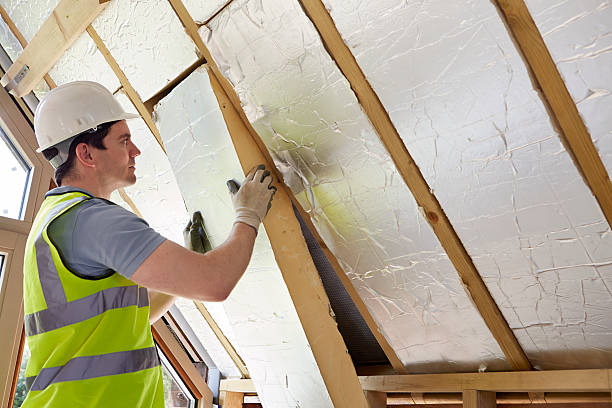 Best Cellulose Insulation  in Chittenango, NY